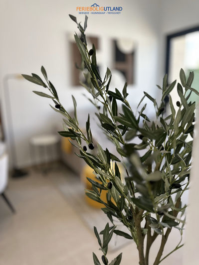 Image No.13-2 Bed Bungalow for sale