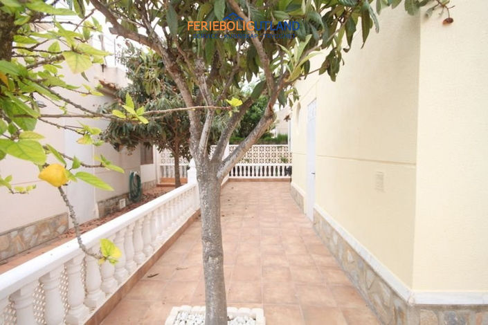 Image No.11-4 Bed Quad for sale