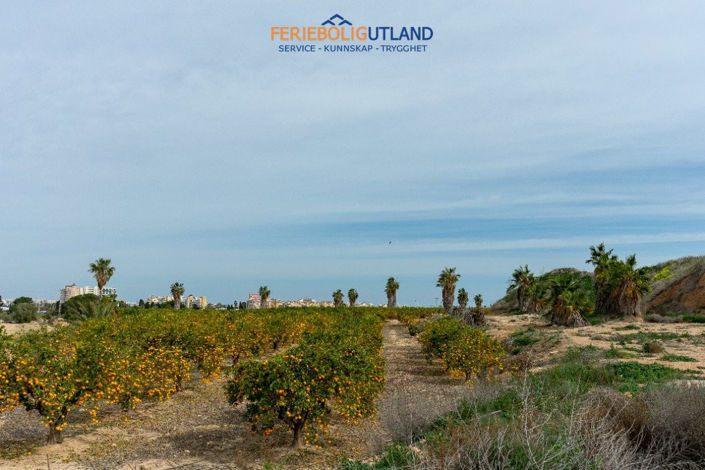 Image No.42-Villa de 2 chambres à vendre à Los Altos