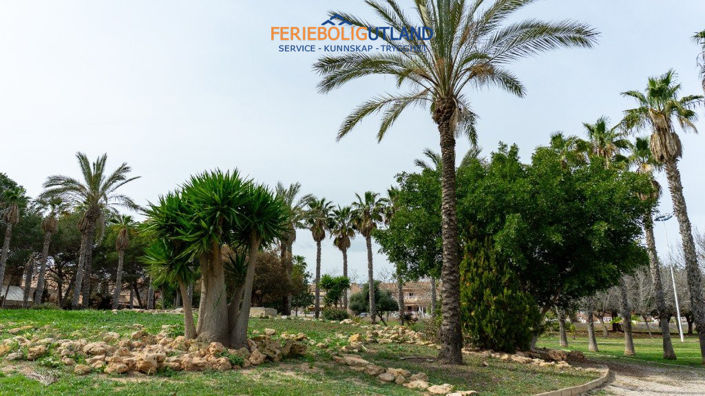 Image No.47-Villa de 2 chambres à vendre à Los Altos