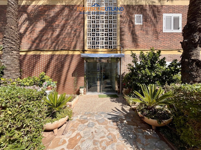 Image No.25-Appartement de 1 chambre à vendre à La Zenia