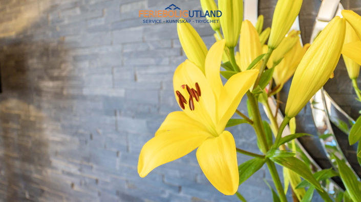 Image No.16-Appartement de 3 chambres à vendre à Los Dolses