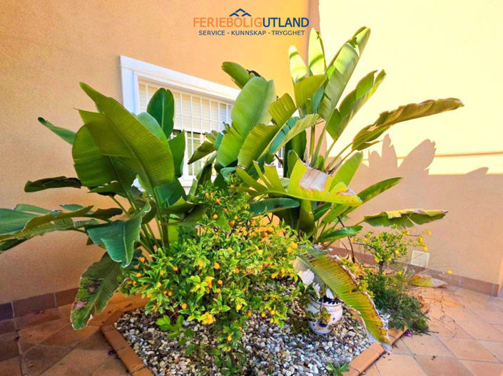 Image No.37-5 Bed Villa for sale