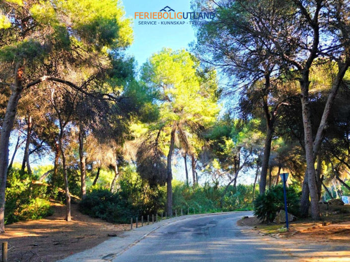 Image No.4-5 Bed Villa for sale