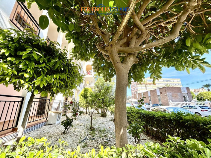Image No.16-1 Bed Apartment for sale