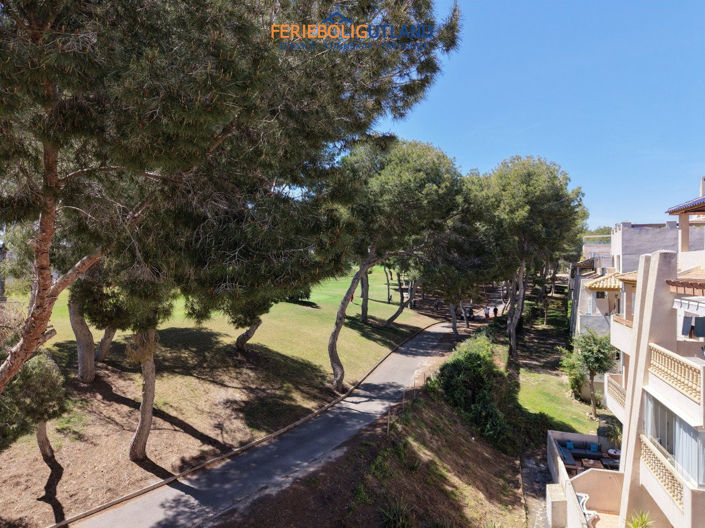 Image No.30-3 Bed Apartment for sale