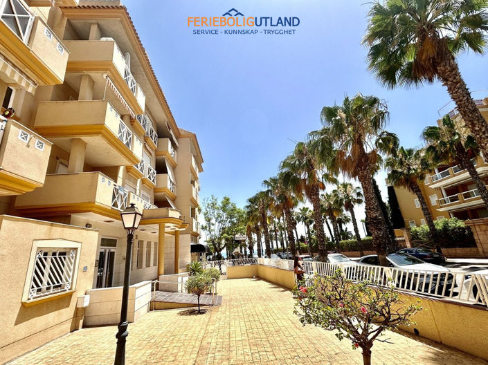Image No.2-Appartement de 2 chambres à vendre à Cabo Roig