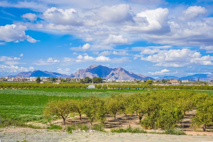 Image No.12-Maison de 2 chambres à vendre à Daya Nueva