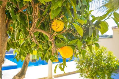 o1jbctnrji17bg1bpi1lnv1h7p181f38