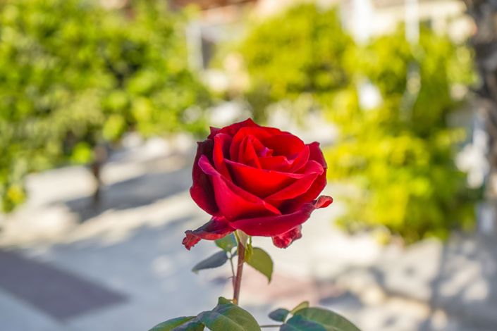 Image No.22-3 Bed Villa / Detached for sale