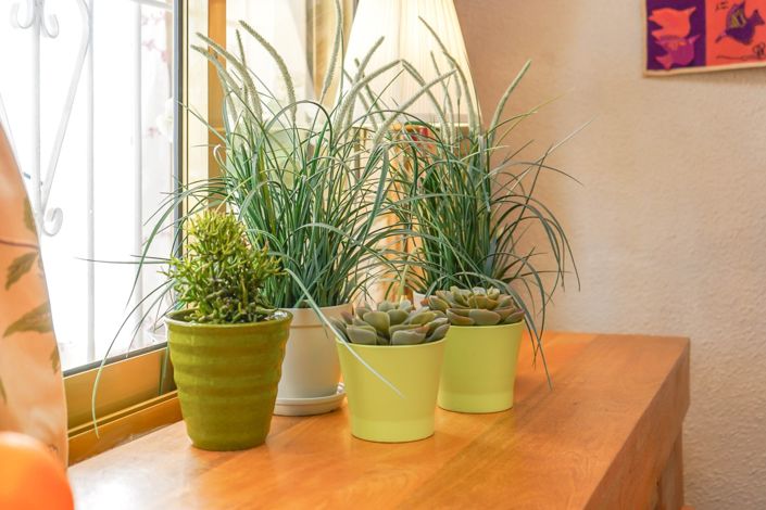 Image No.17-Villa / Détaché de 3 chambres à vendre à La Marina