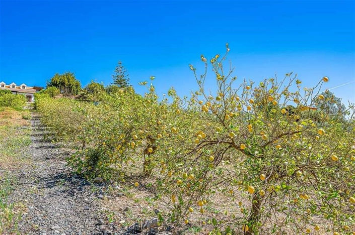 Image No.25-Villa / Détaché de 5 chambres à vendre à Pizarra