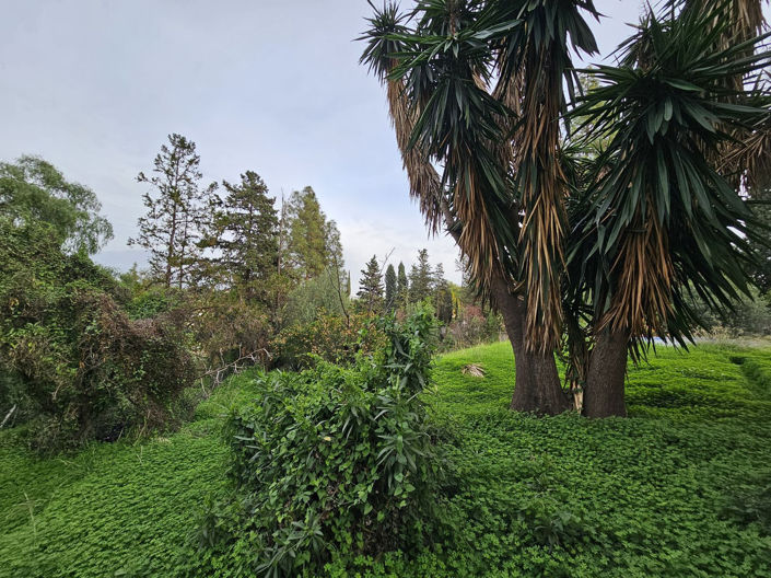 Image No.26-Villa / Détaché de 3 chambres à vendre à Guadalmina
