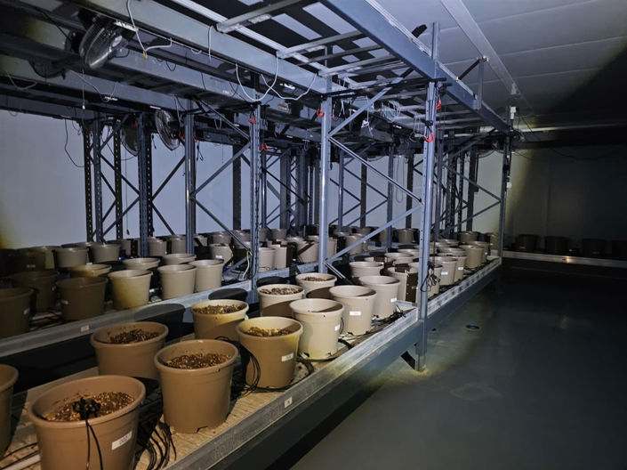 Image No.8-6 Bed Property for sale