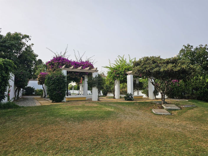 Image No.24-Propriété de 1 chambre à vendre à Benamara