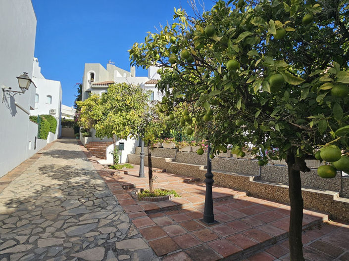 Image No.2-Propriété de 5 chambres à vendre à Nueva Andalucia