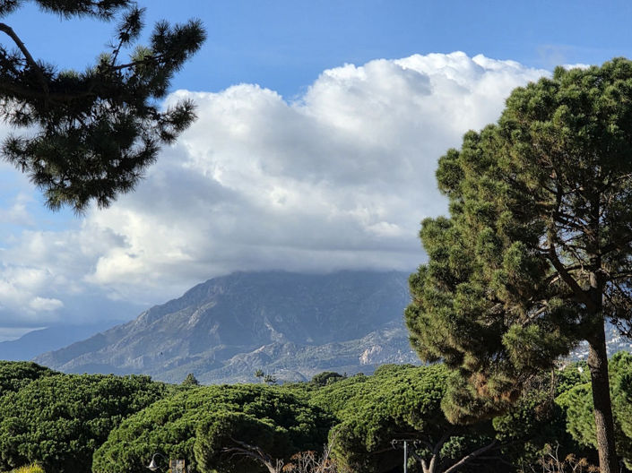 Image No.11-Propriété de 2 chambres à vendre à Elviria