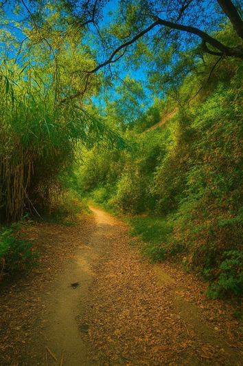 Image No.41-3 Bed Property for sale