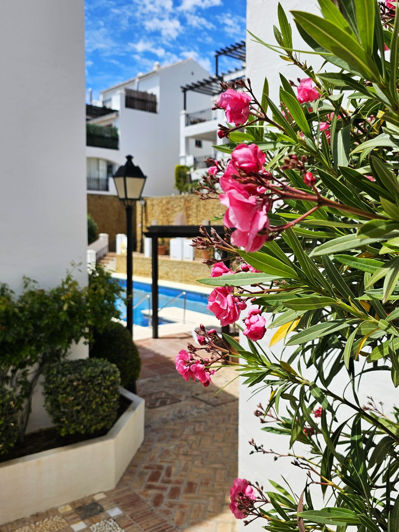 Image No.28-Propriété de 2 chambres à vendre à Altos de los Monteros