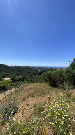 10-bb915d1cb19341576dcdc994b81ab9c5