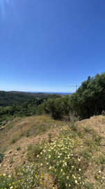 9-467d0cee5b725f3ef65f102a0c2e69c0