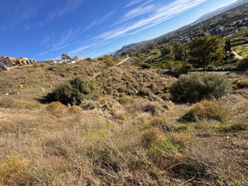 6-241328e1bcc9c0d8ce1222beb6c967a8