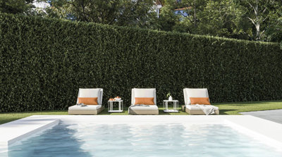 2-5bd7b9d04b45e33852eaf0ec6670150d