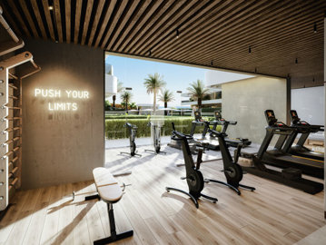 12-53013098fcab6c38b1379cd33298e050