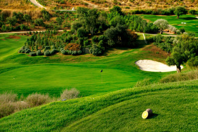 5-3595ad71cbd87be6c3643a4285ef4791