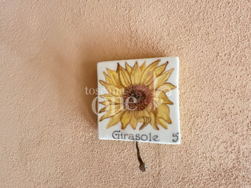 GIRASOLE 1.jpg