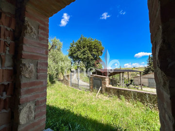 voltraio-5.jpg