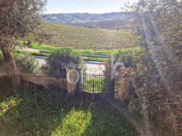 casale tondello -11.jpg
