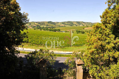 casale tondello -2.jpg