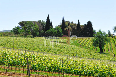 casale tondello -1.jpg