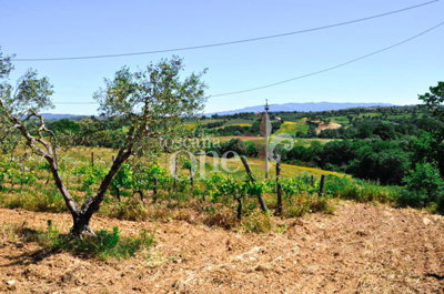 casale tondello -4.jpg