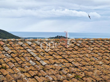 casa vicolo -2.jpg