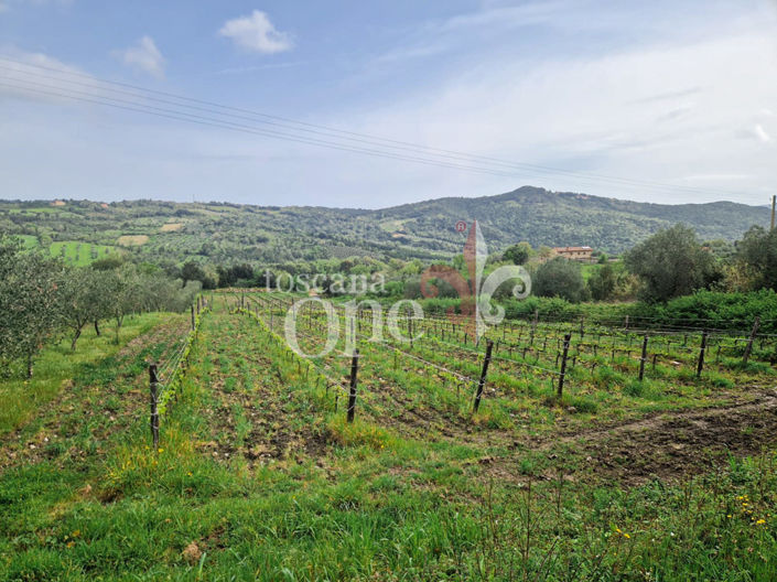 Image No.14-4 Bed House for sale