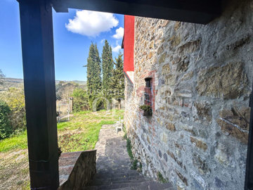 casa leopoldo -8.jpg