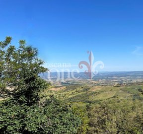 1 - Cinigiano, House