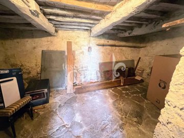 cellar 1.JPG