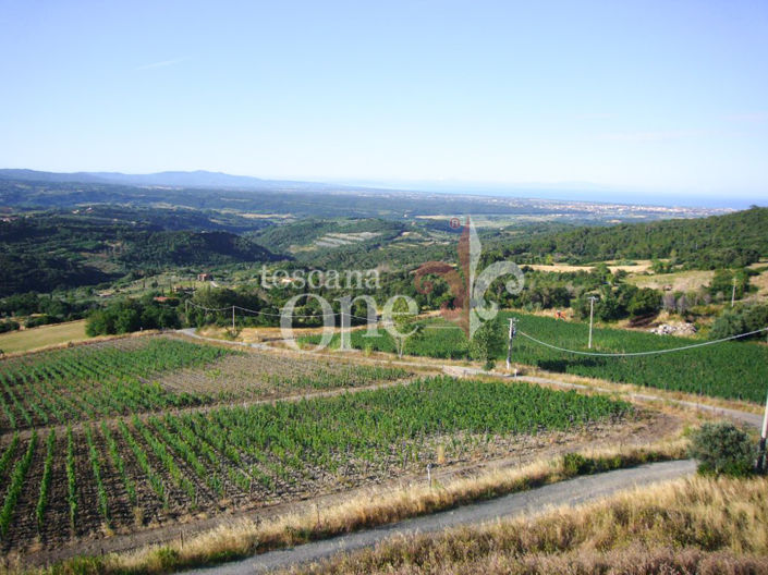 Image No.19-1 Bed Apartment for sale