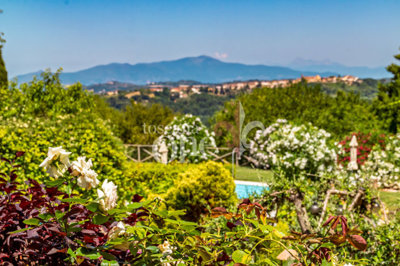 casa libbiano -35.jpg