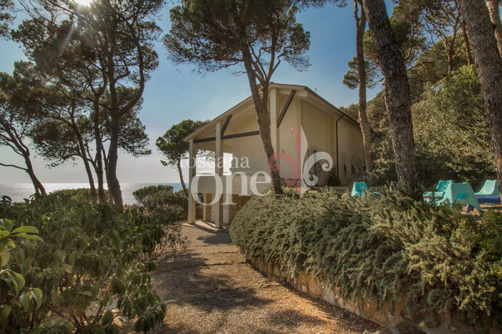 Image No.4-Maison de 4 chambres à vendre à Rosignano Marittimo