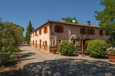 Lopio esterni -8.jpg