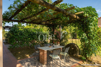 app. Ciclamino-6.jpg