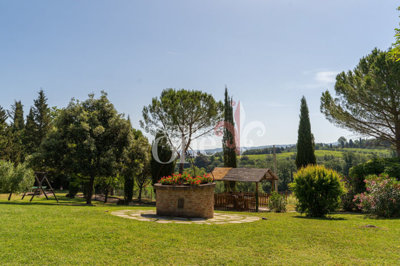 Lopio esterni -10.jpg