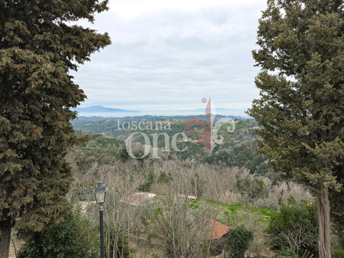 Image No.30-Appartement de 1 chambre à vendre à Palaia