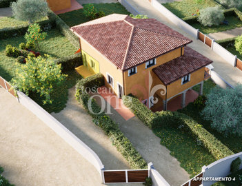 app.4 ARTEMISIA-GINESTRA-MELISSA-1.jpg