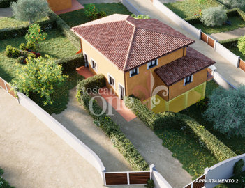 app.2 ARTEMISIA-GINESTRA-MELISSA-1.jpg