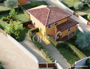 app.3 ARTEMISIA-GINESTRA-MELISSA-1.jpg